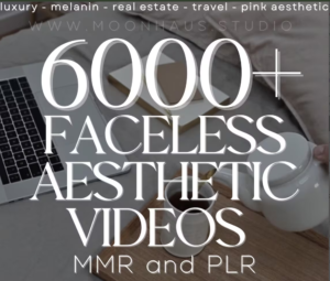 Faceless Aesthetic  for Instagram Reels MRR & PLR